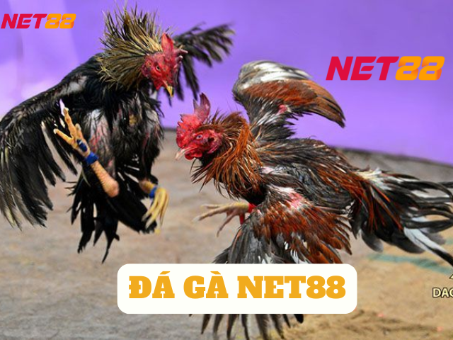 đá gà net88